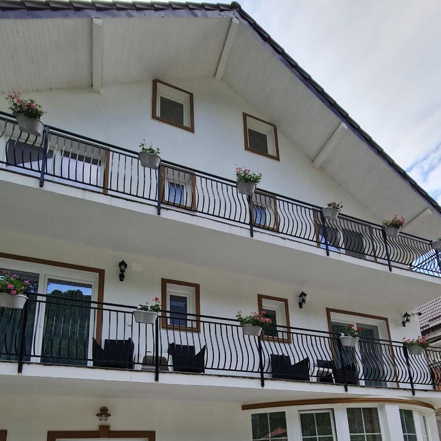 Hotel Casa Anne Băile Herculane Exteriér fotografie